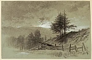 Field with Rail Fence
