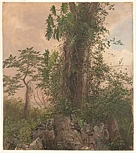 Fig Tree and Wild Philodendron, Jamaica by Frederic Edwin Church, American, 1826–1900