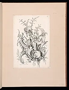 Floral and Rocaille Ornament Design