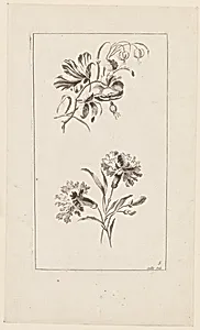 Flower Boughs, from "Divers Bouquets d'Aprés Nature" by Jean-Baptiste Pillement, French, 1728–1808