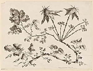 Flower Boughs, from "Recueil de Differentes Fleurs de Fantaisie Dans le Goût Chinois" by Jean-Baptiste Pillement, French, 1728–1808