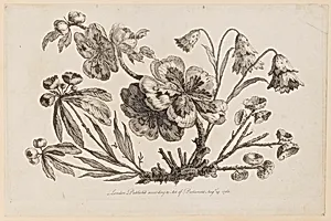 Flower Boughs, from "Recueil de Fleurs de Chinois" by Jean-Baptiste Pillement, French, 1728–1808