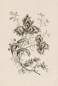 Flower Branch, from "Fleures Persannes" by Jean-Baptiste Pillement, French, 1728–1808
