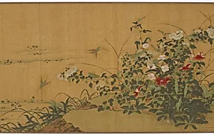 Flowers, plants, and insects