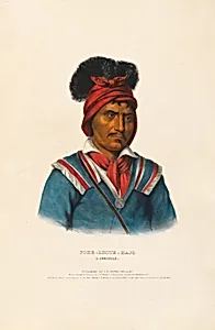 Foke-Luste-Hajo - A Seminole