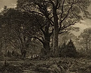 ForÃªt de Fontainbleau