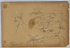 Foreground Studies, Ramapo by Arnold William Brunner, American, 1857–1925