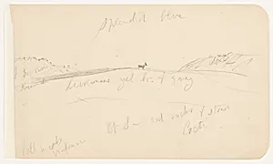 Goat Standing in a Field, Mexico