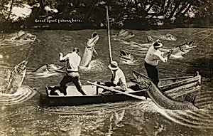 Great Sport Fishing Here
