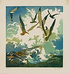 Gulls and Spray