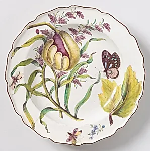 "Hans Sloane" Botanical Plate (One of Twelve) by Chelsea Porcelain Manufactory, English, 1745 – 1784