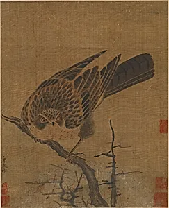 Hawk on a leafless branch