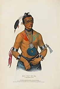 Hoo-wan-ne-ka - A Winnebago Chief