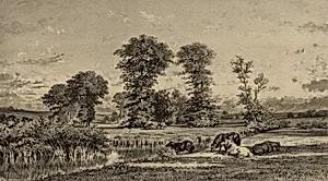 Horses Grazing
