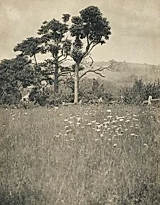 In the Hill Country