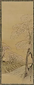 Landscape: flowering cherry trees along the banks of a stream
