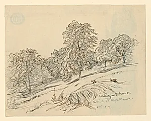 Landscape Sketch, Hyde Manor, Vermont