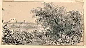 Landscape with Branch