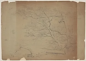 Landscape with Trees, Grand Manan Island, Canada by Frederic Edwin Church, American, 1826–1900