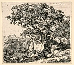 Large Trees on Rocks by a Shallow Stream