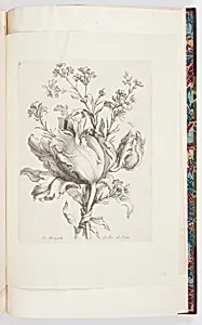 Le Dragon Åillet de PoÃ«te