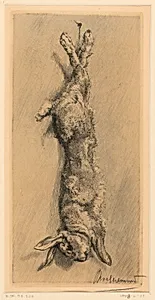 Le Lapin de Garenne
