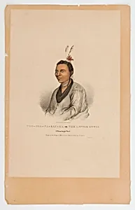 Little Otter, a Winnebago Chief by James Otto Lewis