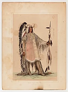 Mah-to-toh-pa, the Mandan Chief by George Catlin