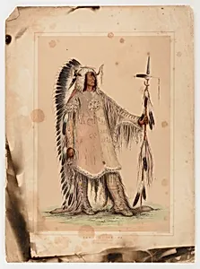 Mah-to-toh-pa, the Mandan Chief by George Catlin