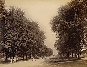 Main Street (North), from the album Views of Charlestown New Hampshire
