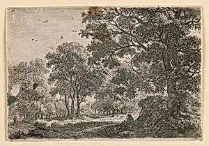 Man Resting on a Grassy Bank Under a Large Tree