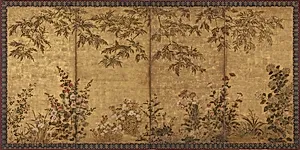 Mimosa tree, poppies and other summer flowers åæ­æ¨è¥å­å³å±é¢¨