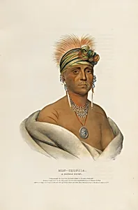 Mon-chonsia - A Kansas Chief