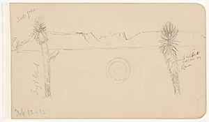 Mountain Range with Palm Trees, Mexico