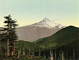 Mt. Hood by Unidentified
