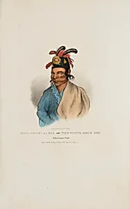 NAH-SHAW-A-GAA The White Dog's Son, Pottawatomie Chief, from The Aboriginal Portfolio by James Otto Lewis