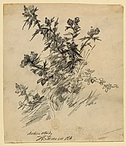 Nature Study by Walter Shirlaw, American, b. Scotland, 1838–1909