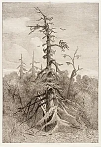 Naushon Swamp, Plate 1
