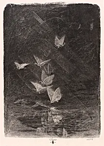 Night Moths