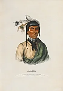 No-Tin - A Chippewa Chief