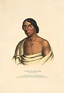 O-hya-wa-mince-kee - A Chippewa Chief