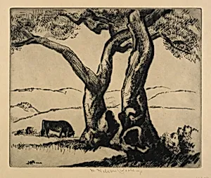 Old Oaks