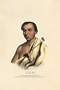 On-ge-wae - A Chippewa Chief