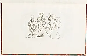 Ornament Designs