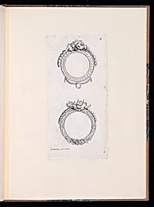 Ornamental Medallion Designs