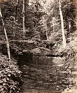 Owasco Lake, Cascade Glen, for the Lehigh Valley Railroad