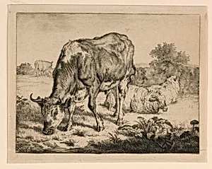 Ox and Three Sheep