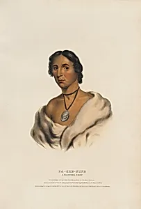 Pa-she-nine - A Chippewa Chief