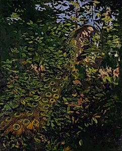 Peacock in the Woods, study for book Concealing Coloration in the Animal Kingdom