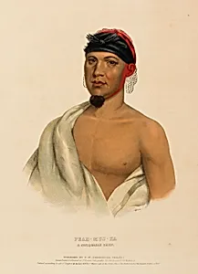PEAH-MUS-KA. A MUSQUAKE CHIEF., from History of the Indian Tribes of North America by McKenney and Hall, 1836-1844